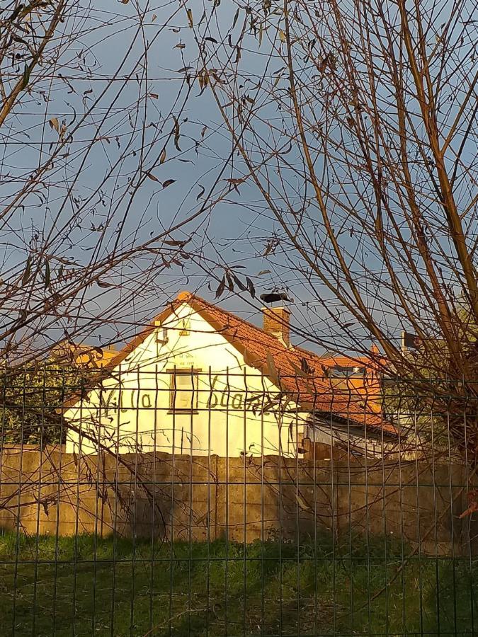 Villa Blanco Opwijk Eksteriør billede